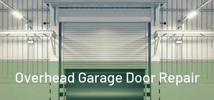  Overhead Garage Door Repair 